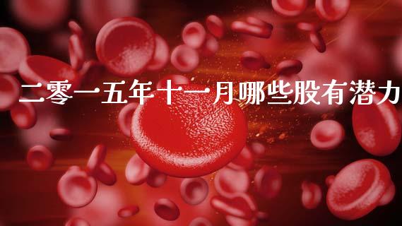 二零一五年十一月哪些股有潜力_https://www.apanben.com_财经资讯_第1张