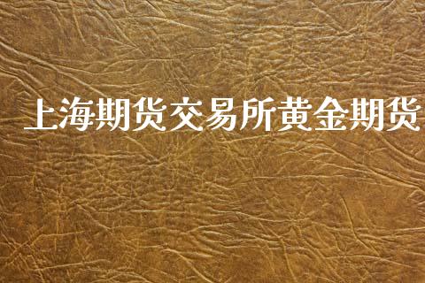 上海期货交易所黄金期货_https://www.apanben.com_财经资讯_第1张