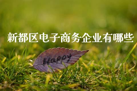 新都区电子商务企业有哪些_https://www.apanben.com_在线喊单_第1张