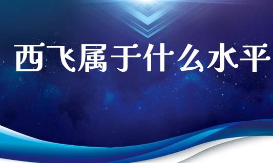 西飞属于什么水平_https://www.apanben.com_国际财经_第1张