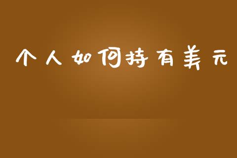 个人如何持有美元_https://www.apanben.com_在线喊单_第1张