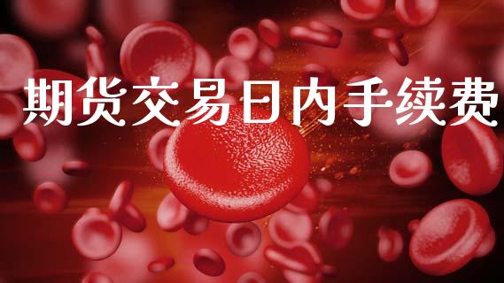 期货交易日内手续费_https://www.apanben.com_国际财经_第1张