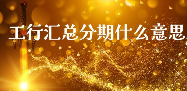 工行汇总分期什么意思_https://www.apanben.com_国际财经_第1张