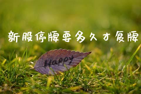 新股停牌要多久才复牌_https://www.apanben.com_股票怎么玩_第1张
