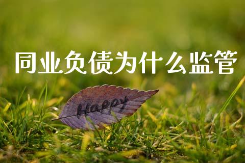 同业负债为什么监管_https://www.apanben.com_股市指导_第1张
