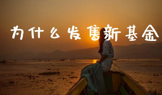 为什么发售新基金_https://www.apanben.com_股市指导_第1张
