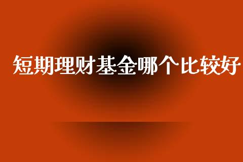 短期理财基金哪个比较好_https://www.apanben.com_国际财经_第1张