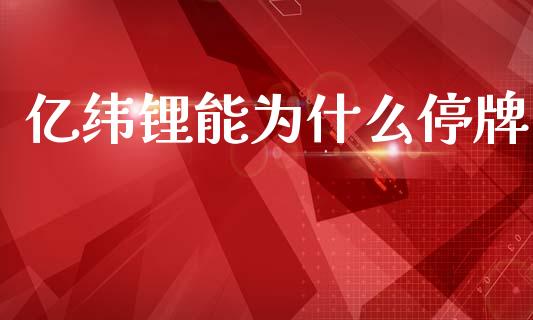 亿纬锂能为什么停牌_https://www.apanben.com_在线喊单_第1张
