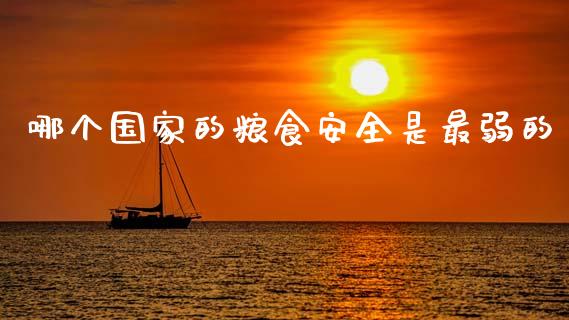 哪个国家的粮食安全是最弱的_https://www.apanben.com_国际期货_第1张