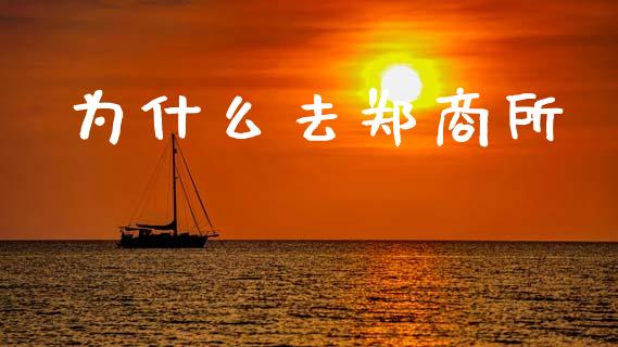 为什么去郑商所_https://www.apanben.com_期货学院_第1张