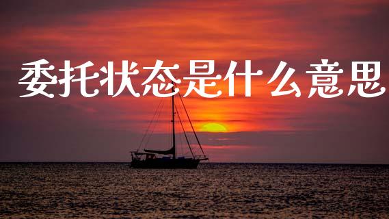 委托状态是什么意思_https://www.apanben.com_股市指导_第1张