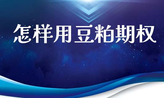 怎样用豆粕期权_https://www.apanben.com_股市分析_第1张