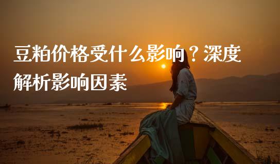 豆粕价格受什么影响？深度解析影响因素_https://www.apanben.com_股票怎么玩_第1张