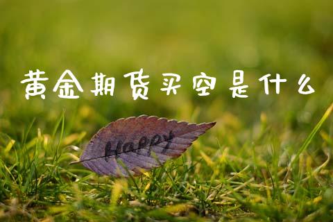 黄金期货买空是什么_https://www.apanben.com_期货学院_第1张