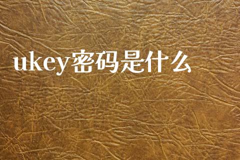 ukey密码是什么_https://www.apanben.com_财经资讯_第1张