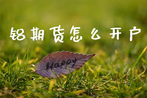 铝期货怎么开户_https://www.apanben.com_股市分析_第1张