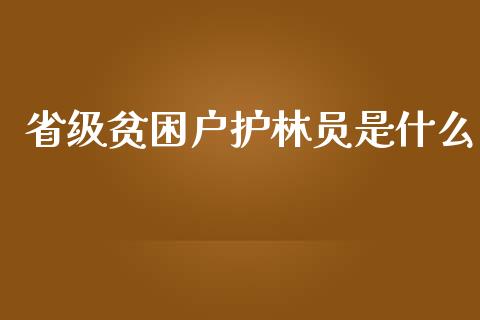省级贫困户护林员是什么_https://www.apanben.com_国际期货_第1张
