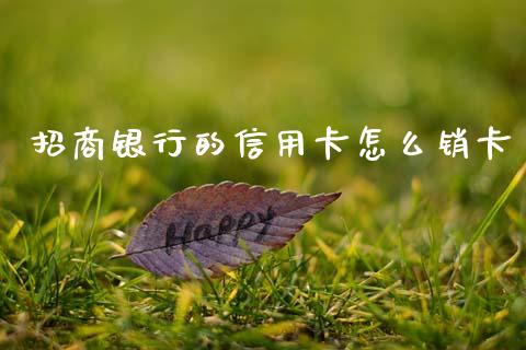 招商银行的信用卡怎么销卡_https://www.apanben.com_国际财经_第1张