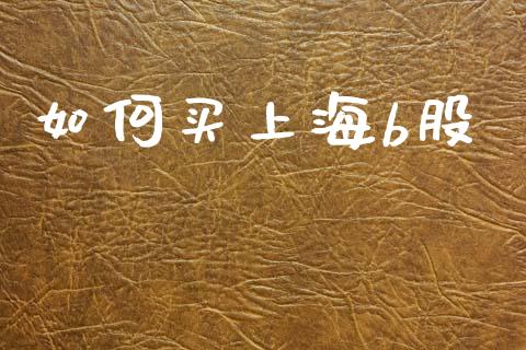 如何买上海b股_https://www.apanben.com_国际期货_第1张