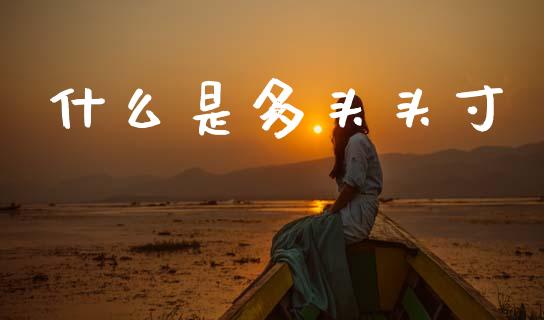 什么是多头头寸_https://www.apanben.com_在线喊单_第1张