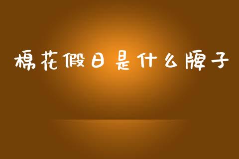 棉花假日是什么牌子_https://www.apanben.com_股市指导_第1张
