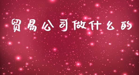 贸易公司做什么的_https://www.apanben.com_股票怎么玩_第1张
