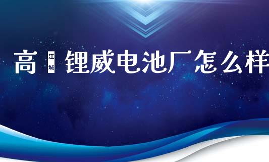 高埗锂威电池厂怎么样_https://www.apanben.com_期货学院_第1张