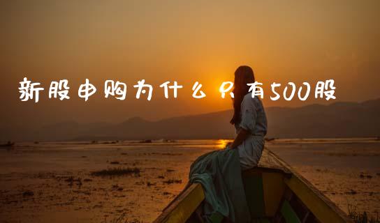 新股申购为什么只有500股_https://www.apanben.com_股市指导_第1张