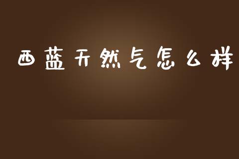 西蓝天然气怎么样_https://www.apanben.com_国际期货_第1张