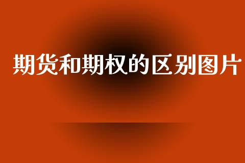 期货和期权的区别图片_https://www.apanben.com_期货学院_第1张