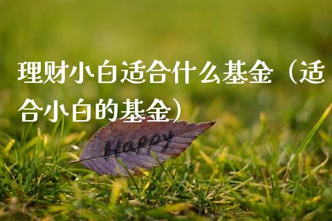 理财小白适合什么基金（适合小白的基金）_https://www.apanben.com_财经资讯_第1张