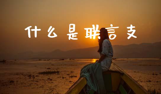 什么是联言支_https://www.apanben.com_股票怎么玩_第1张