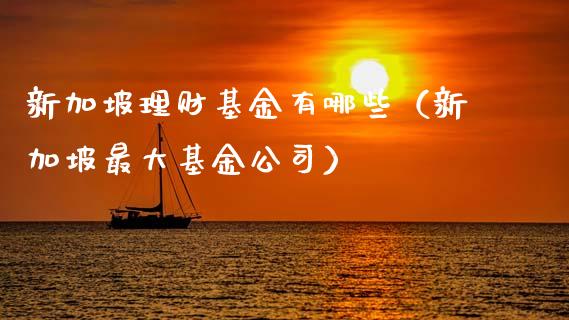 新加坡理财基金有哪些（新加坡最大基金公司）_https://www.apanben.com_国际财经_第1张