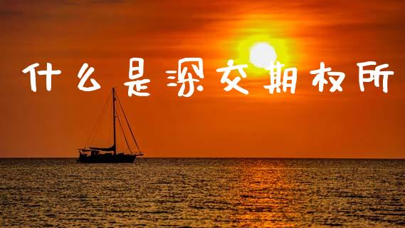 什么是深交期权所_https://www.apanben.com_国际期货_第1张