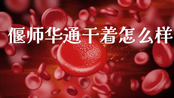 偃师华通干着怎么样_https://www.apanben.com_期货学院_第1张