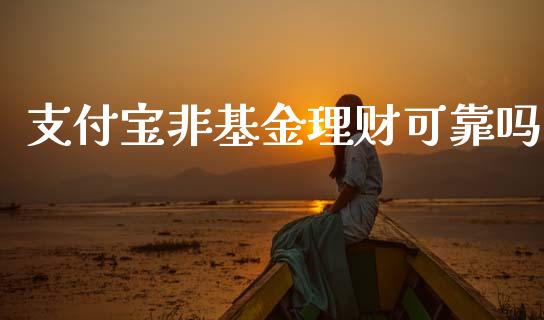 支付宝非基金理财可靠吗_https://www.apanben.com_财经资讯_第1张