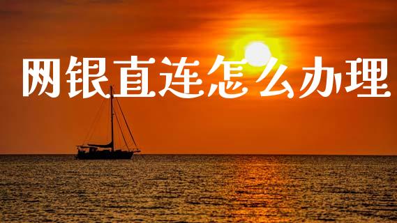 网银直连怎么办理_https://www.apanben.com_期货学院_第1张