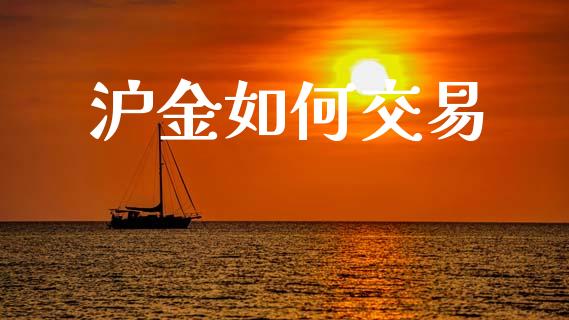 沪金如何交易_https://www.apanben.com_国际财经_第1张