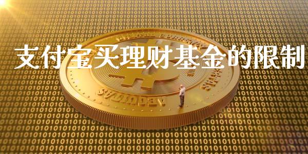 支付宝买理财基金的限制_https://www.apanben.com_财经资讯_第1张
