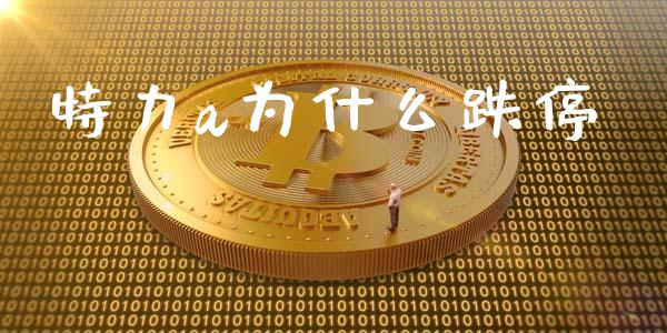特力a为什么跌停_https://www.apanben.com_期货学院_第1张