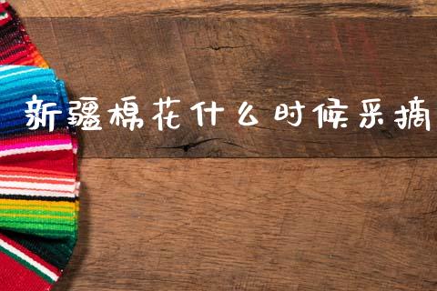 新疆棉花什么时候采摘_https://www.apanben.com_股市指导_第1张