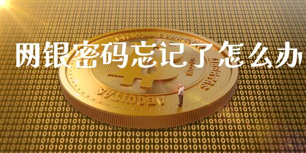 网银密码忘记了怎么办_https://www.apanben.com_国际财经_第1张
