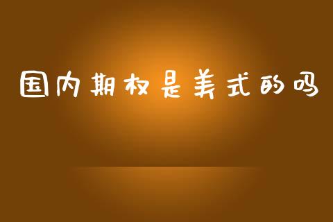 国内期权是美式的吗_https://www.apanben.com_股市分析_第1张