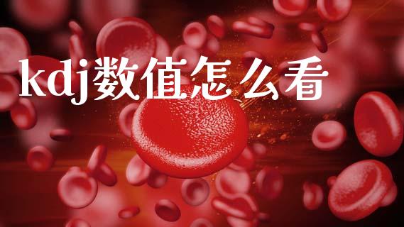 kdj数值怎么看_https://www.apanben.com_在线喊单_第1张