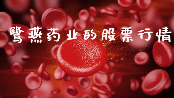 鹭燕药业的股票行情_https://www.apanben.com_股市指导_第1张