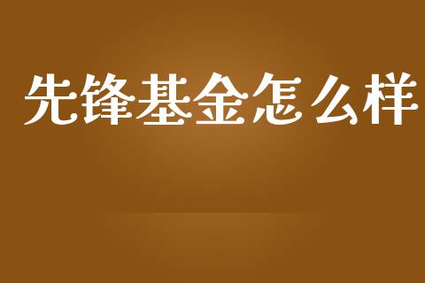 先锋基金怎么样_https://www.apanben.com_期货学院_第1张