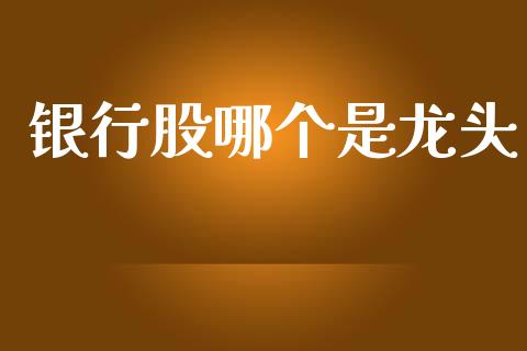 银行股哪个是龙头_https://www.apanben.com_期货学院_第1张