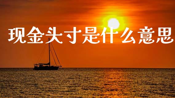 现金头寸是什么意思_https://www.apanben.com_期货学院_第1张