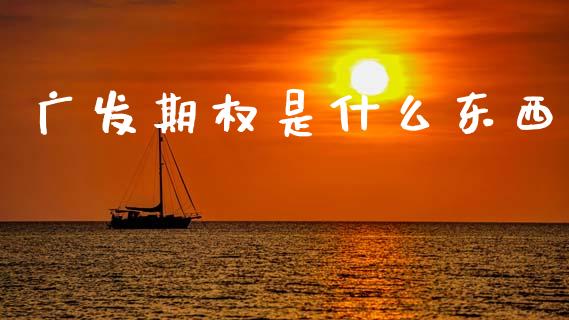 广发期权是什么东西_https://www.apanben.com_国际期货_第1张