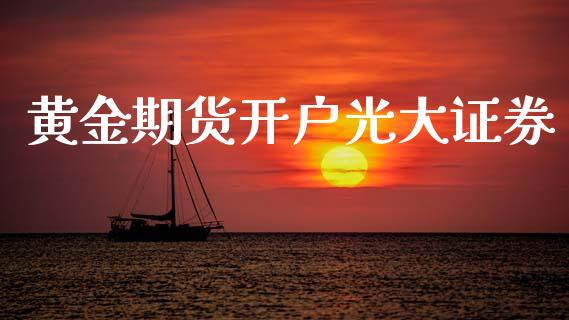 黄金期货开户光大证券_https://www.apanben.com_期货学院_第1张